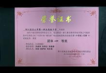 我校代表队荣获2017年四川省“衡信杯”税务技能竞赛（中职组）团体一等奖